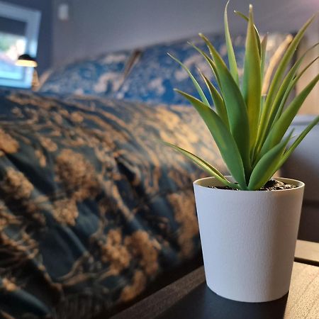 The Penthouse Ny Loft Apartment Barmouth Eksteriør bilde