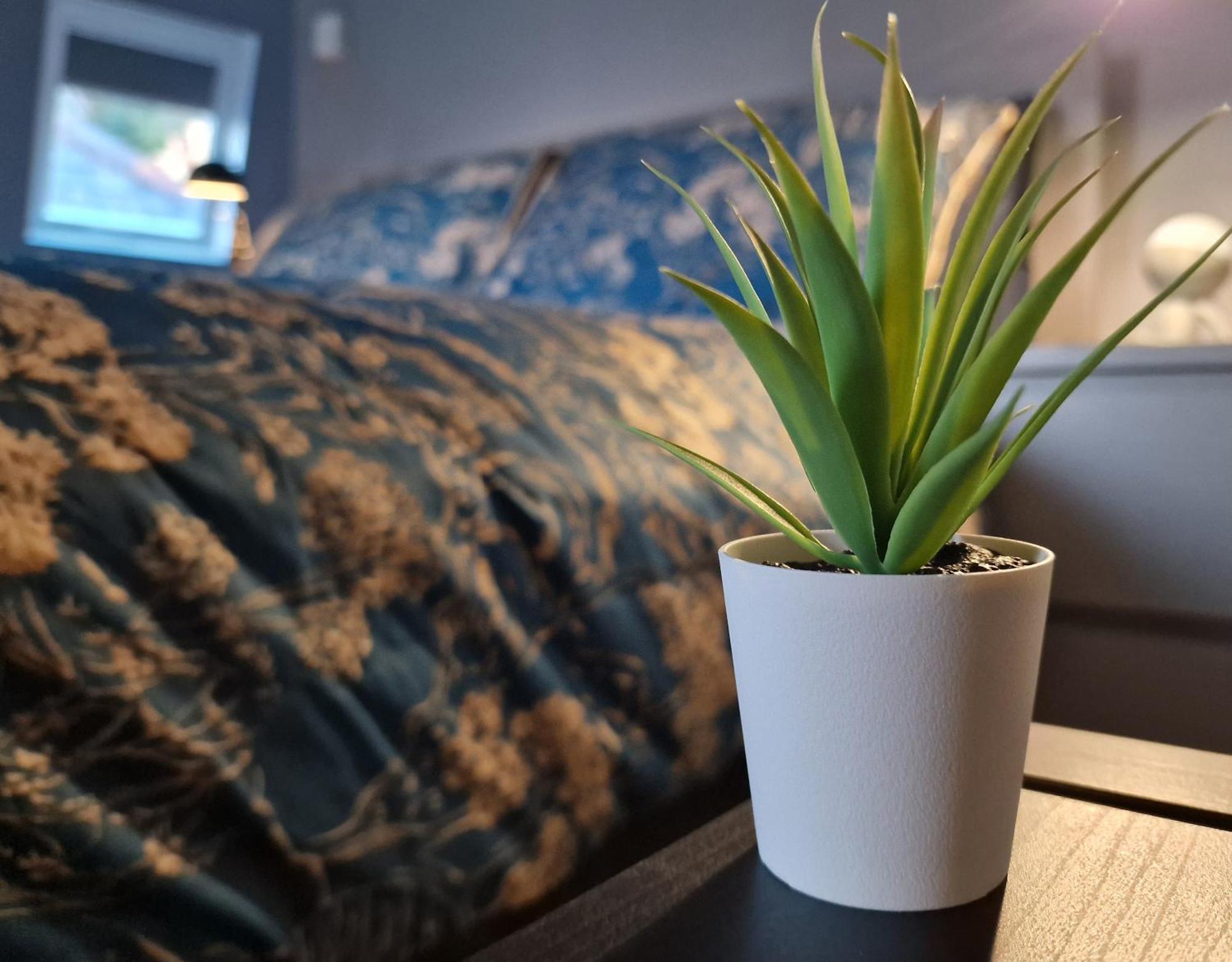 The Penthouse Ny Loft Apartment Barmouth Eksteriør bilde